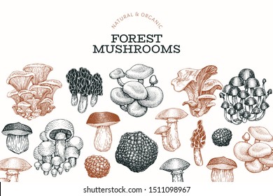 Mushroom design template. Hand drawn vector food illustration. Engraved style. Retro mushrooms different kinds background.