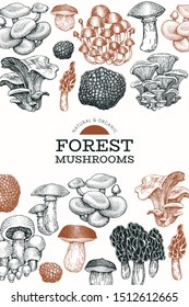 Mushroom design template. Hand drawn vector food illustration. Engraved style. Vintage mushrooms different kinds background.