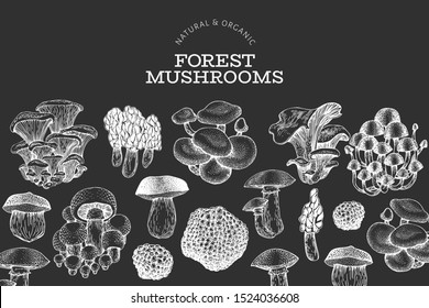 Mushroom design template. Hand drawn vector food illustration on chalk board. Engraved style. Vintage mushrooms different kinds background.