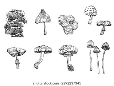 Mushroom doodle clipart isolate on white background, hand drawing Mushroom vector continue line, stylize fungi illustration for graphic element, ink sketching style vector icon