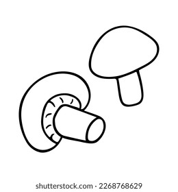 Mushroom doodle, cooking nutrient. Hand-drawn protein food, proper eating, healthy diet. Sketch, minimalism, line art. Isolated. Vector illustration