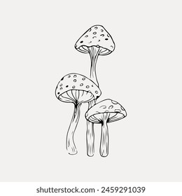 Mushroom doodle nature fungus vector 