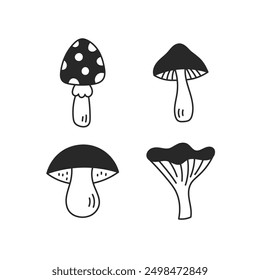 Mushroom Doodle Set. Hand drawn forest fungus collection. Cep Fly agaric Chanterelle icons. Isolated vector illustration