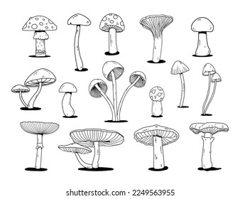 Mushroom doodle set. Mushroom isolated line art for print, poster, banner, greeting card, design element. Mushrooms outline vector and illustration icons.