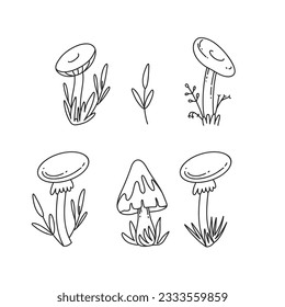 Mushroom doodle set. Various mushrooms hand drawn