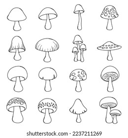 Mushroom Doodle vector icon set. Drawing sketch illustration hand drawn line.
