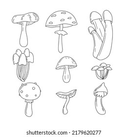 Mushroom doodle vector set. Autumn mood isolated line art collection, print, banner, poster, greeting card design element.