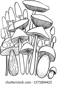 Mushroom doodles vector for coloring book. Isolated illustration on white background.