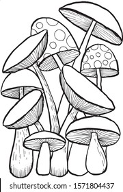 Mushroom doodles vector for coloring book. Isolated illustration on white background.