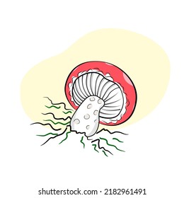 Mushroom drawing champignon, porcini, greasers, suillellus, boletus, russule, russulacea, amanita, death cap. Vector graphic stock image. Children book isolated illustration.