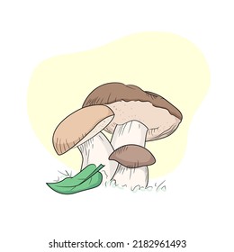 Mushroom drawing champignon, porcini, greasers, suillellus, boletus, russule, russulacea, amanita, death cap. Vector graphic stock image. Children book isolated illustration.