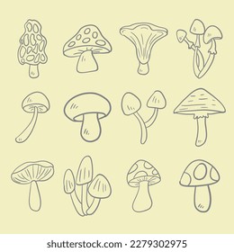 The Mushroom drawing image for food or cooking concept