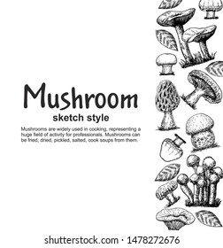Mushroom drawing vector border. Isolated food frame sketch. Champignon, morel, porcini, chanterelle. Great for menu, label, product packaging.