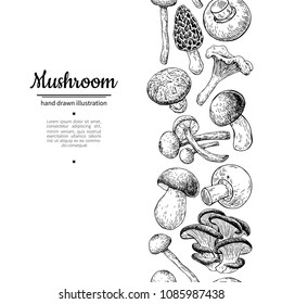 Mushroom drawing vector seamlees border. Isolated   food frame sketch. Champignon, morel, truffle, enokitake, porcini, oyster, chanterelle, shiitake. Great for menu, label, product packaging, 