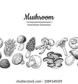 Mushroom drawing vector seamlees border. Isolated   food frame sketch. Champignon, morel, truffle, enokitake, porcini, oyster, chanterelle, shiitake. Great for menu, label, product packaging, 