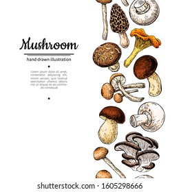 Mushroom drawing vector seamlees border. Isolated food frame sketch. Champignon, morel, truffle, chanterelle, shiitake. Great for menu label product packaging