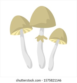 Mushroom Drug Vector Isolated Psilobycin Psychedelic Stock Vector ...