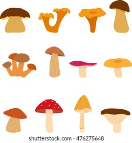 Mushroom, edible and inedible mushrooms