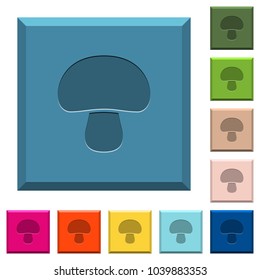 Mushroom engraved icons on edged square buttons in various trendy colors