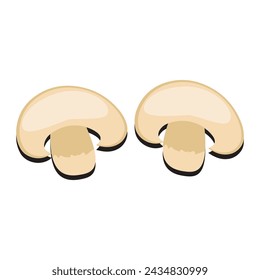 Mushroom flat design cartoon different mushrooms vector illustration, wild mushroom symbol signs, Amanita poisonous. Eps 10