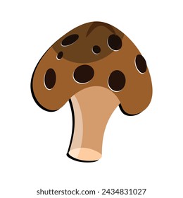 Mushroom flat design cartoon different mushrooms vector illustration, wild mushroom symbol signs, Amanita poisonous. Eps 10
