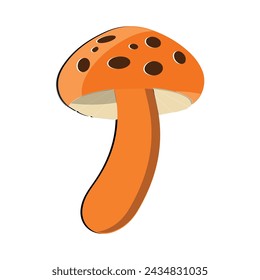 Mushroom flat design cartoon different mushrooms vector illustration, wild mushroom symbol signs, Amanita poisonous. Eps 10
