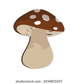 Mushroom flat design cartoon different mushrooms vector illustration, wild mushroom symbol signs, Amanita poisonous. Eps 10