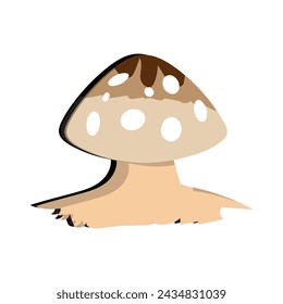 Mushroom flat design cartoon different mushrooms vector illustration, wild mushroom symbol signs, Amanita poisonous. Eps 10