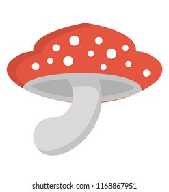 
Mushroom flat icon creative design
