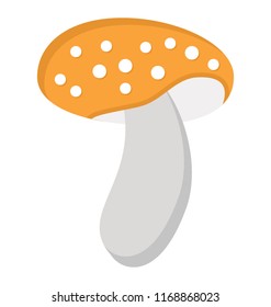 
Mushroom flat icon creative design

