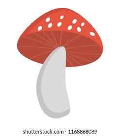 
Mushroom flat icon creative design
