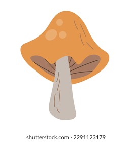 Mushroom in flat style, edible mushroom vector illustration isolated on white background. EPS