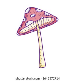 mushroom flora decoration cartoon design on white background vector illustration
