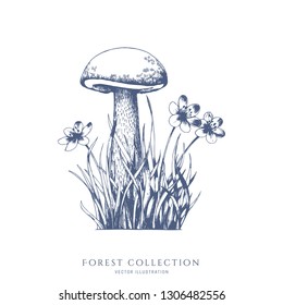 Mushroom and flowers in the grass. Forest hand drawn vector sketch.