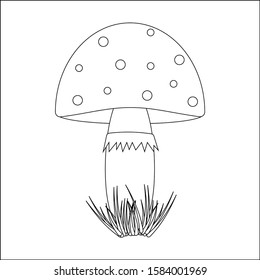 Mushroom, fly agaric, coloring for children, outline on a white background, vector