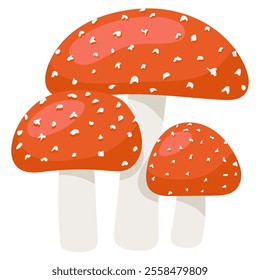 Mushroom Fly Agaric Illustration Autumn Mushrooms Flat Design