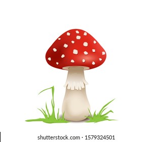 Mushroom, fly agaric for luck,
Vector illustration isolated on white background
