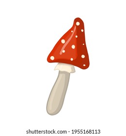 Mushroom, fly agaric for luck,Vector illustration isolated on white background