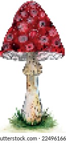 Mushroom fly agaric in pixel art style. Vector file for designs.