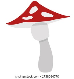 Pilzfliege mit roter Kappe