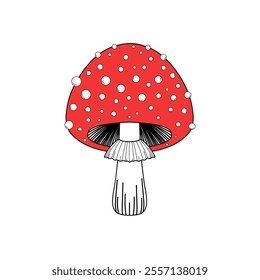 Mushroom fly agaric with a red cap, white spots hand-drawn isolated on a white background vector illustration. Decorative abstract forest inedible poisonous fungus grebe. A bright element 