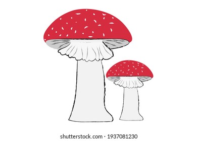 mushroom fly agaric. red riding hood, full skirt, white leg hand-drawn, isolated on a white background. vector illustration. print, poster,textile,