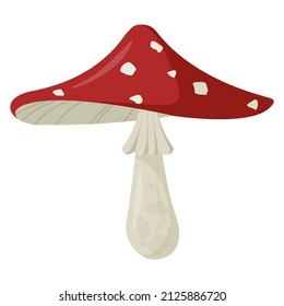 Mushroom Fly Agaric Vector Icon, Cartoon Amanita drawing