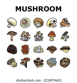 mushroom food forest fungi icons set vector. fungus champignon, nature fresh, plant autumn porcini, organic psychedelic vegetable mushroom food forest fungi color line illustrations