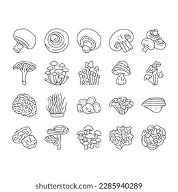 mushroom food forest fungi icons set vector. fungus champignon, nature fresh, plant autumn porcini, organic psychedelic vegetable mushroom food forest fungi black contour illustrations