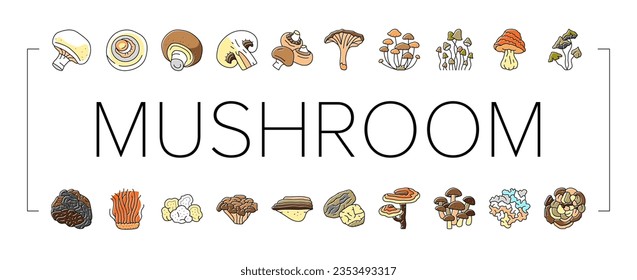 mushroom food forest fungi icons set vector. fungus champignon, nature fresh, plant autumn porcini, organic psychedelic vegetable mushroom food forest fungi color line illustrations