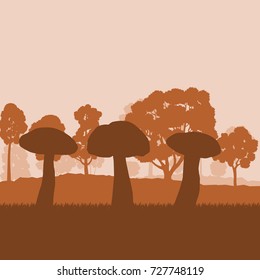 Mushroom forest  field landscape vector background with sunset and trees