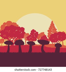 Mushroom forest  field landscape vector background with sunset and trees