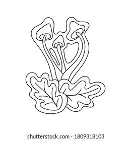 Mushroom Forest Herb composition. Vector illustration for coloring pages, hand drawn design element