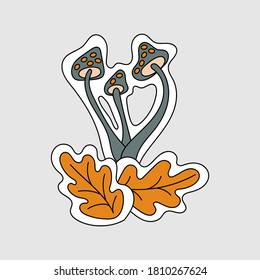 Mushroom Forest Herb composition. Vector illustration for poster design, postcards, hand drawn design element